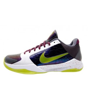 Кроссовки Nike Zoom Kobe 5 разноцветные